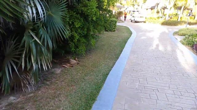 Royalton Cayo Santa Maria Cuba 2024 смотреть онлайн