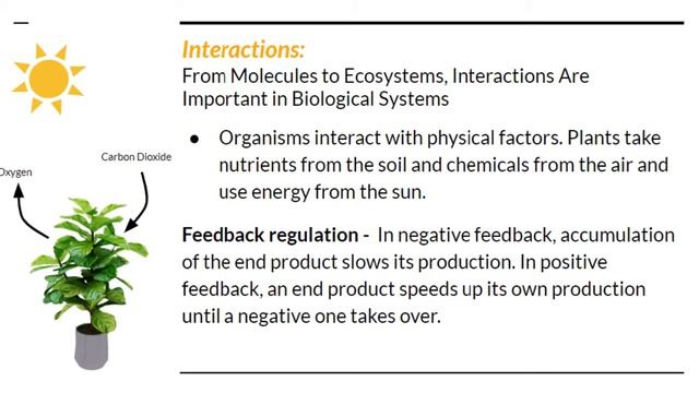 Campbell Biology Chapter 1 │ Biology Addict