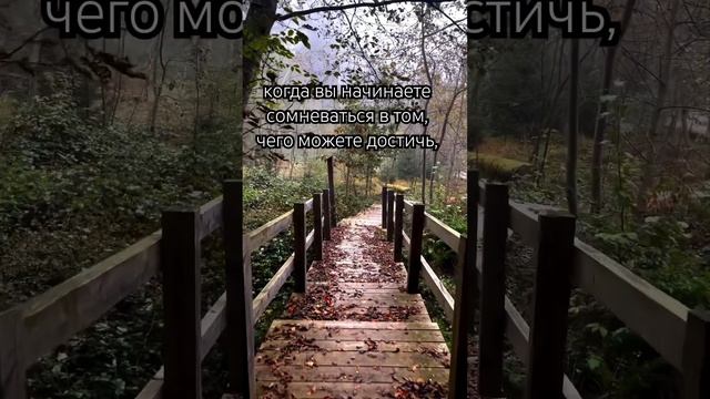 просто вспомните о том, как далеко вы уже зашли. #цитаты #мудрыеслова #философия смотреть онлайн