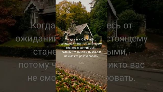 Когда вы избавитесь от ожиданий — вы по-настоящему станете счастливыми смотреть онлайн