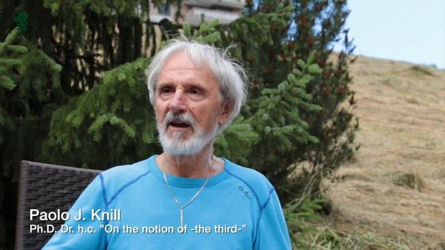 Paolo J. Knill. On the notion of -the third-. 2016 смотреть онлайн