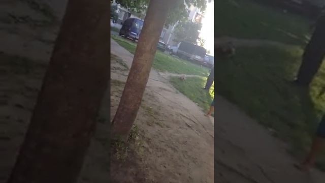 Зинаида жжет смотреть онлайн