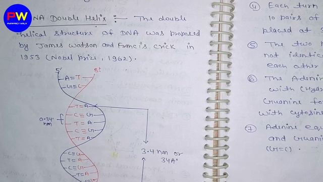Structure of DNA and RNA and their function। Biochemistry B Pharmacy 2nd semester। Shahruddin Khan। смотреть онлайн