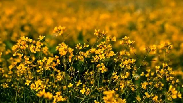 Популярный клип о любви онлайн смотреть онлайн