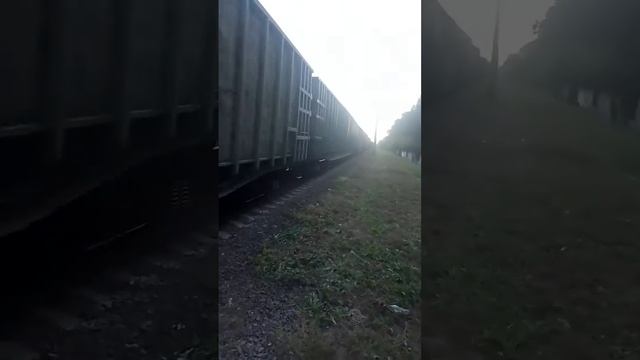 вл80т-1826 вл80т и тепловоз тгм4 з грузовим поездом смотреть онлайн