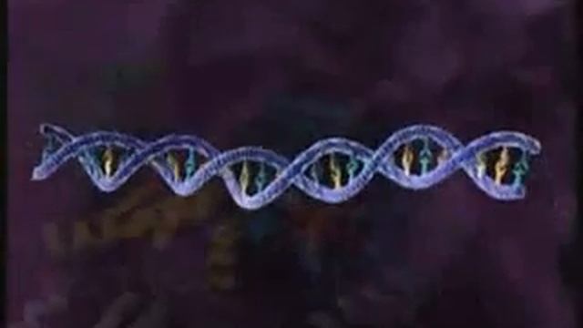 HIV replication смотреть онлайн