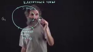 Цитология  Лекция 7  Клеточный цикл  Окштейн И Л