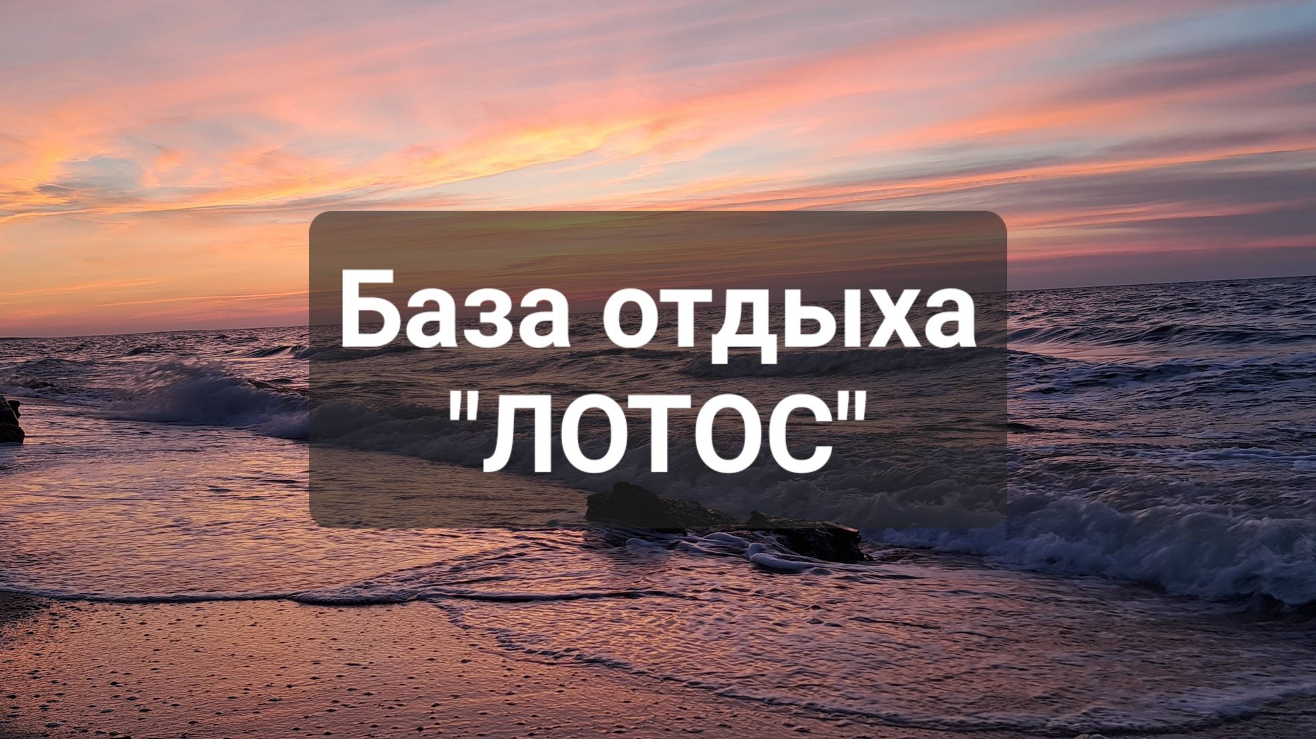 База ЛОТОС 2025 смотреть онлайн