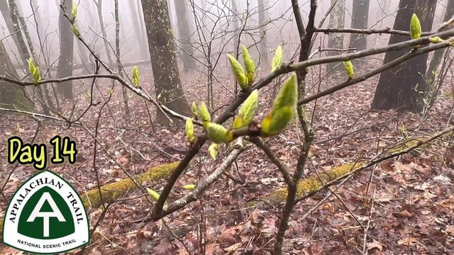 How Does the ZPacks Plex Solo Hold Up in High Winds & Rain? Appalachian Trail 2023, Day 14 смотреть онлайн