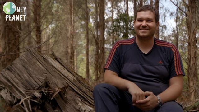Tasmanian forest: Natural world heritage on borrowed time | FULL DOCUMENTARY смотреть онлайн
