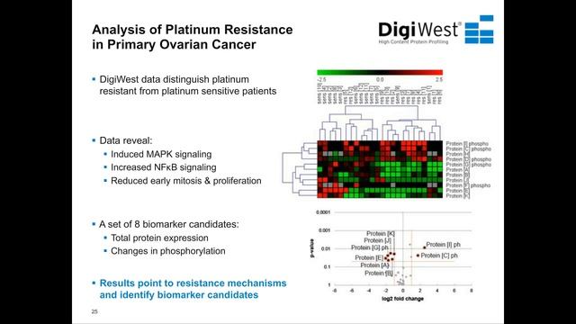 Anthony Couvillon and Markus Templin-Cross validation of Antibodies Using DigiWest смотреть онлайн
