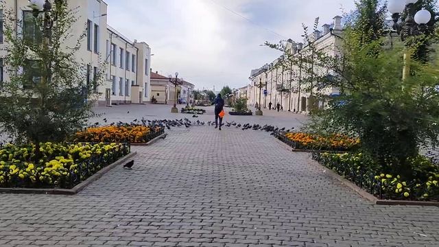 невозмутимость голубей Улан-Удэ.. смотреть онлайн