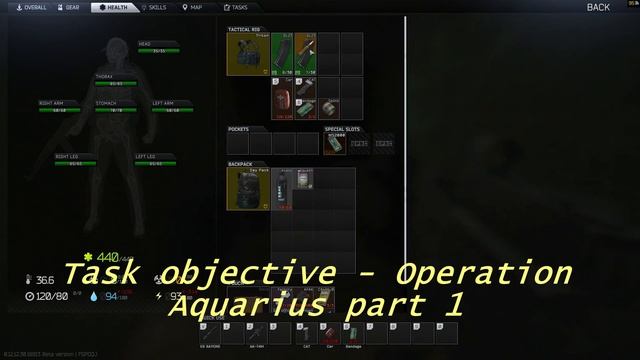 Tarkov Newbie to Kappa EP.1 | Wipe Wildness | EFT смотреть онлайн