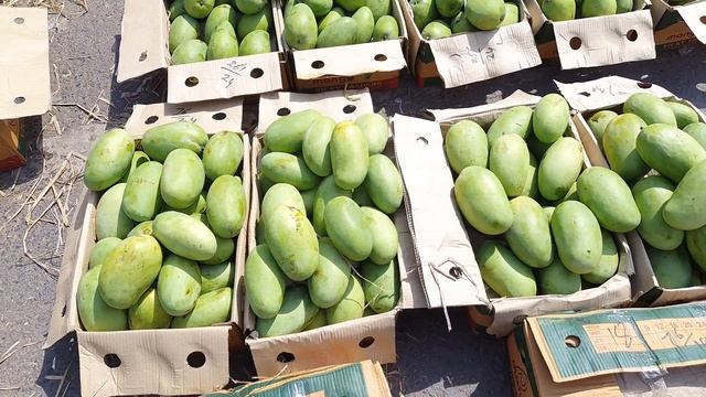 April 26, 2024 दिल्ली आम के भाव delhi mango market price #mango delhi fruit market #mangomarket смотреть онлайн