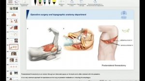 Topographic Anatomy : Chest