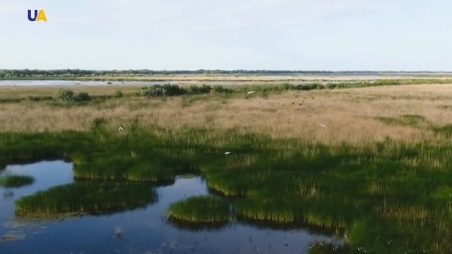 Біологія. 7 кл. Урок 60. Природоохоронні території. Заповідні території України смотреть онлайн