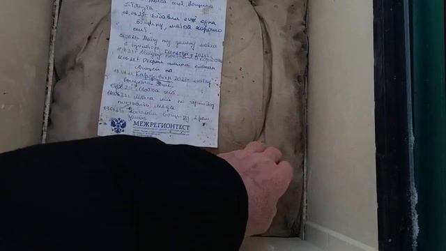 Отчёт по замене , развитию и зимовки 50 маток с июня 2023г. по февраль 2024 года. смотреть онлайн