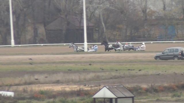 Московский ипподром. Бега. 08.11.15. Заезд 5(652). ПРИЗ КВАДРАТА смотреть онлайн