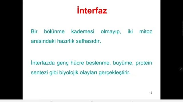 HÜCRE BÖLÜNMESİ ~MİTOZ~ 10. SINIF |DERS REHBERİM смотреть онлайн