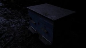 Двухматочное пчеловодство. Чуть подробнее о нашей двухматочной семье.