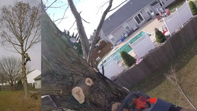 3 Removals/First Log Trolley Use/and an Awesome Blooper смотреть онлайн