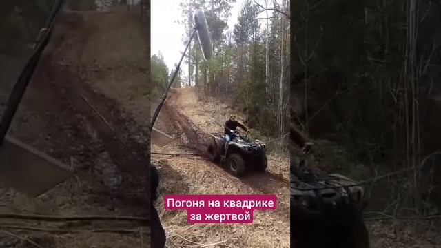 Погоня маньяка Подвал Господина Гринберга смотреть онлайн