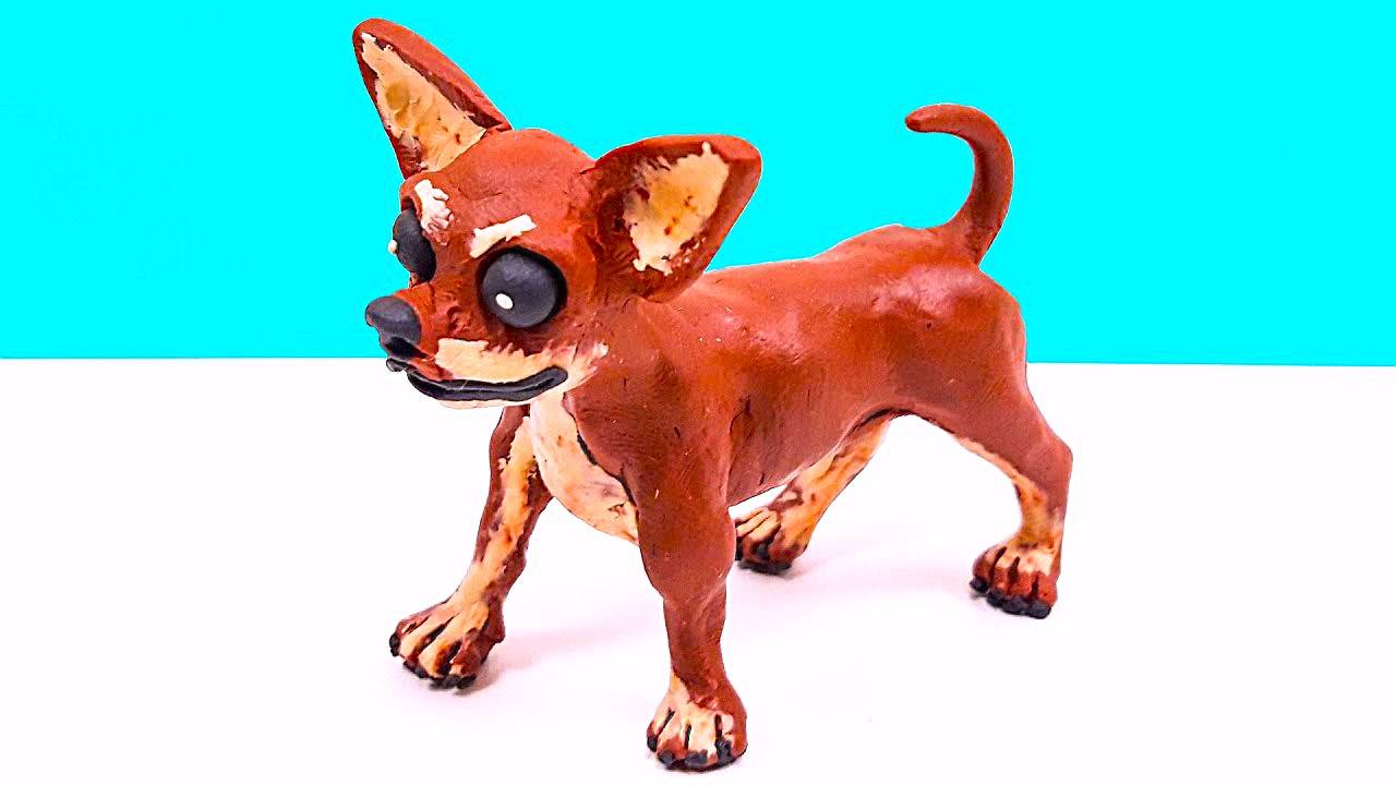 Самая Маленькая Собака в Мире - ЧИХУА ХУА смотреть онлайн