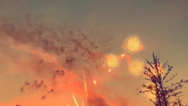 Ареал Москва смотреть онлайн