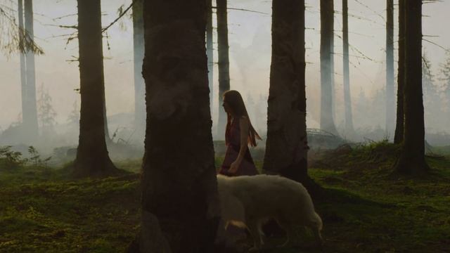The wolves dug a fresh grave. After opening the coffin, people were horrified! смотреть онлайн