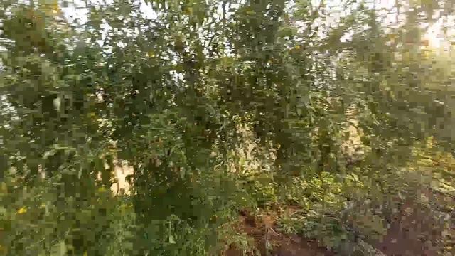 НЕ ИНСТАГРАМНОЕ УТРО И НЕ ГЛАМУРНЫЙ ДЕНЬ. НОСТАЛЬГИЯ ПО 90-М. смотреть онлайн