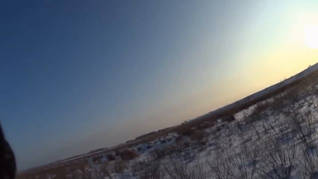 Охота на зайцев - Яркие моменты 2016-2017 смотреть онлайн