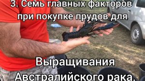 3. Семь главных факторов при покупке прудов для выращивания австралийских раков
