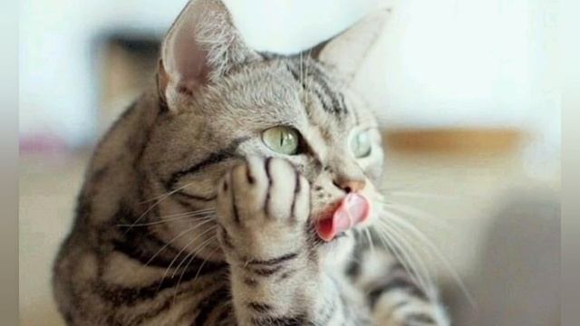 Ну, ЕСЛИ ЭТО, то И КАК ТОГДА?!☆ смотреть онлайн