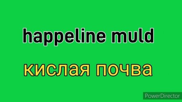 Eesti keel. Учим эстонский-10