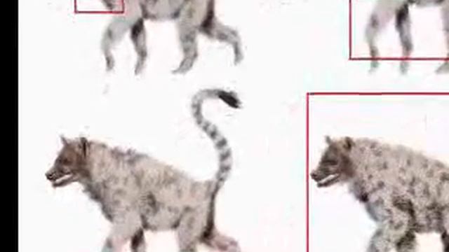 6. Natural Selection Made Easy (for schools) смотреть онлайн