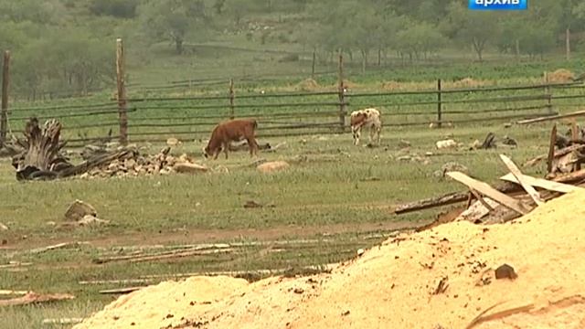 Сюжет в программе "На ночь глядя": "Какие изменения планируются в налоговом законодательстве" смотреть онлайн