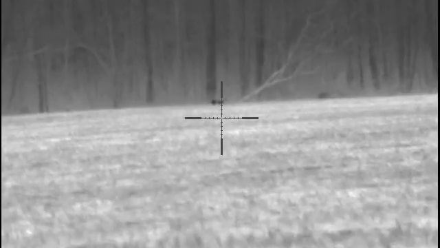 Pulsar Trail XP 50 / Almost a double смотреть онлайн