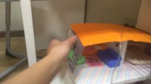 антистресс собачки перестановка в домике уборка