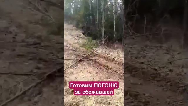 Готовим облаву на сбежавшую девушку из подвала смотреть онлайн