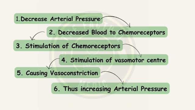 Blood Pressure | Regulation | Feedback Mechanism | Physiology смотреть онлайн