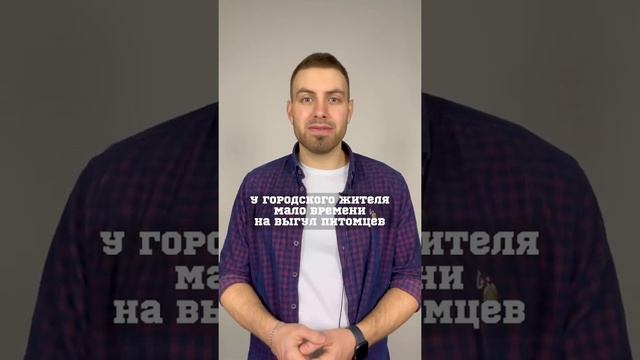 4 БИЗНЕС ИДЕИ БЕЗ ВЛОЖЕНИЙ🔥😱❌ смотреть онлайн