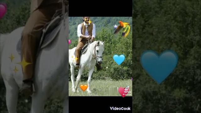 крутится шар1000017488.mp4 смотреть онлайн