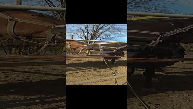 VID_20200325_164659 смотреть онлайн