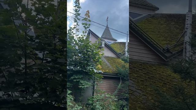 стропильная система смотреть онлайн