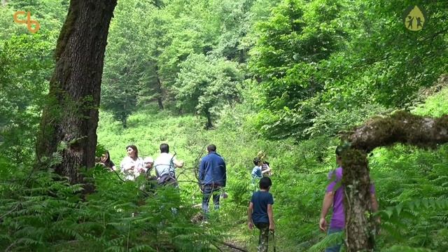 Komanda quruculuğu təlimindən / С тренинга по становлению команды смотреть онлайн