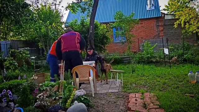 Охрана проводника 19.05.20 смотреть онлайн