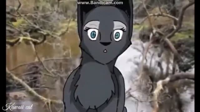 КОТЫ ВОИТЕЛИ КЛИП||БЕЛОГРИВКА И СИНЯЯ ЗВЕЗДА |||| ТЫ УШЛА |||| КВ Kawaii cat||Snowfur and Blue Star смотреть онлайн