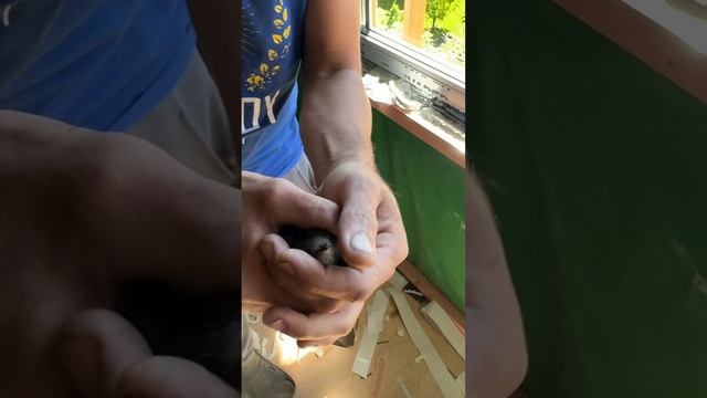 строительство смотреть онлайн