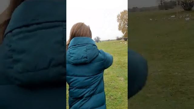 Орёл и Решка село Тинне смотреть онлайн