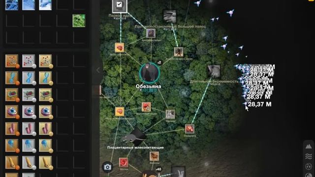 Cell to Singularity - Evolution Never Ends часть 4 Обезьяны и австралопитеки смотреть онлайн